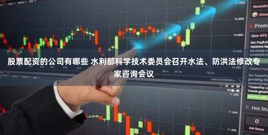 股票配资的公司有哪些 水利部科学技术委员会召开水法、防洪法修改专家咨询会议