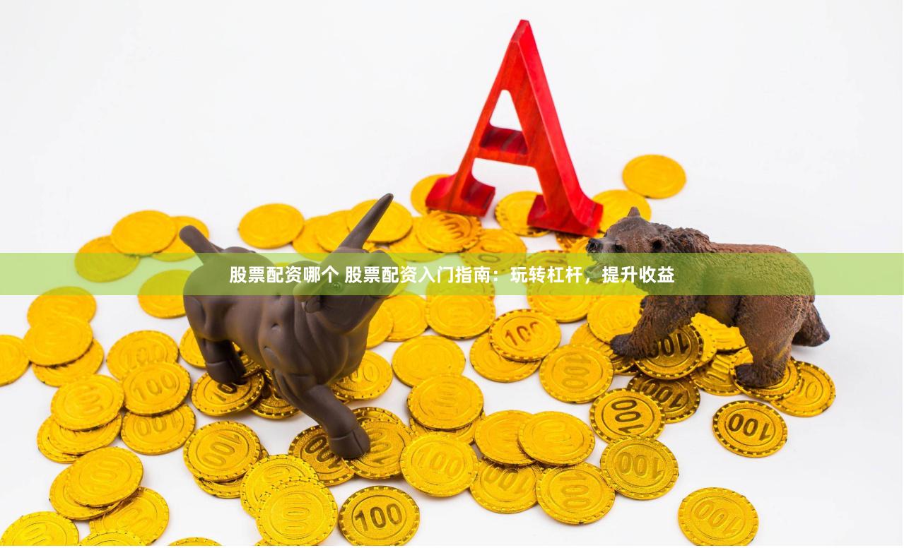 股票配资哪个 股票配资入门指南：玩转杠杆，提升收益